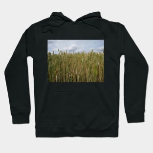 Farm View Hoodie